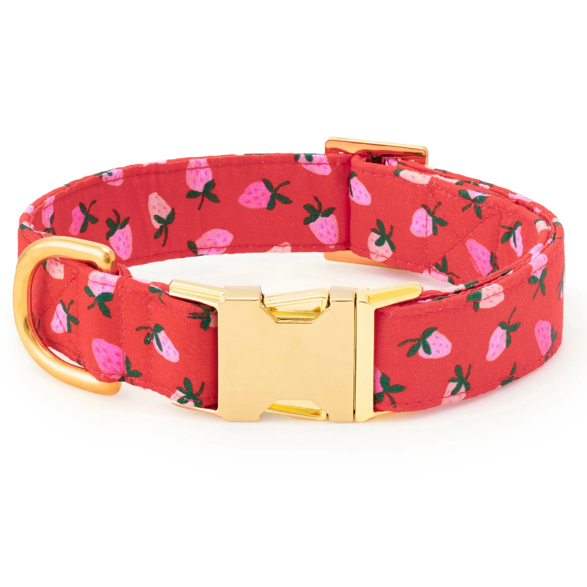 Berry Sweet Collar Walk Set